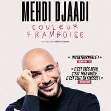 Mehdi Djaadi