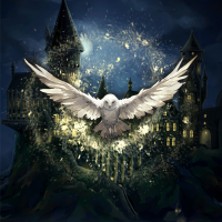 Hogwarts Magic Symphony