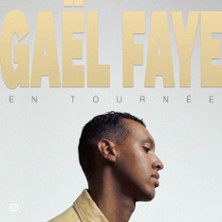 Ga&euml;l  Faye