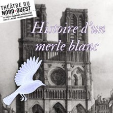 Histoire d'un Merle Blanc