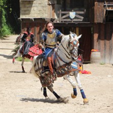 Cit&eacute; M&eacute;di&eacute;vale de Provins