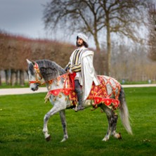 Domaine national de Chambord