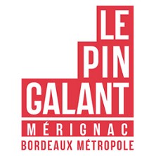 Pin Galant