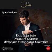 &Ocirc;de &agrave; la Joie -  Symphonie n&deg; 9 de Beethoven