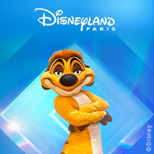 Disneyland Paris - Billet Dat&eacute; 4 Jours / 2 Parcs