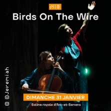 Birds On A Wire