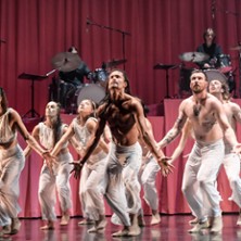 Stephanie Lake Company - Manifesto